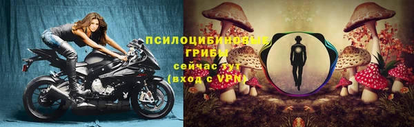 каннабис Новозыбков