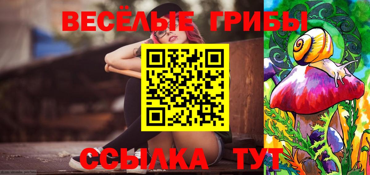 Псилоцибиновые грибы MAGIC MUSHROOMS Карачаевск
