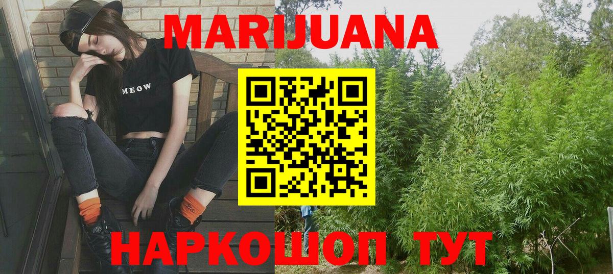 Бошки марихуана OG Kush  Каннабис план  Бошки марихуана SATIVA & INDICA  Карачаевск 